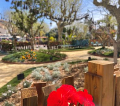 Inauguration du jardin Éphémère