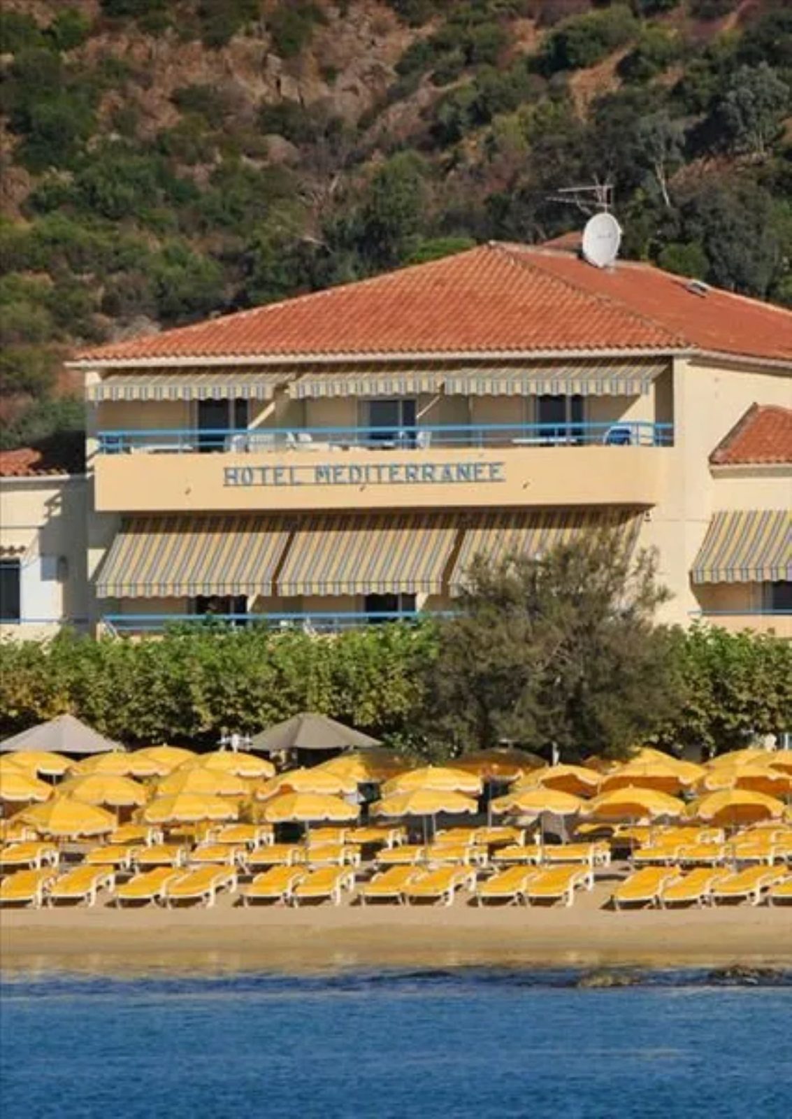 Hôtel Méditerranée_Le Lavandou