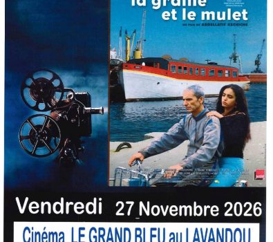 Cinema – Proiezione del film “La graine et le mulet”