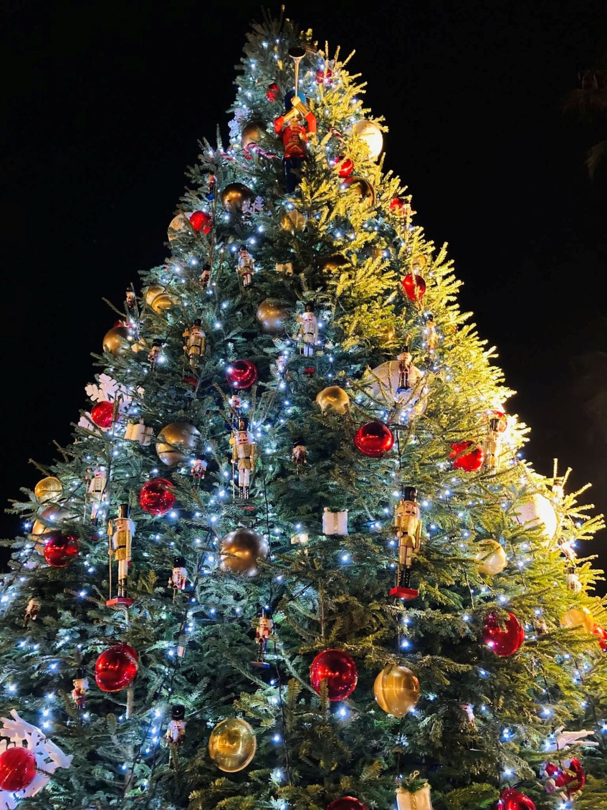 Lancio delle luminarie e inaugurazione del mercatino di Natale_Le Lavandou