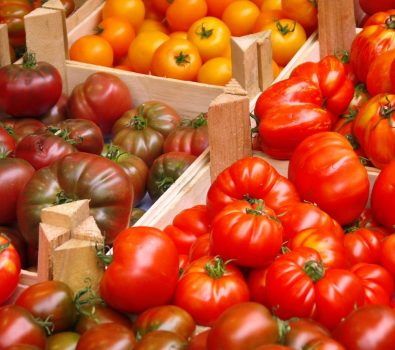 Marché Provençal – Les Bormettes – La Londe les Maures